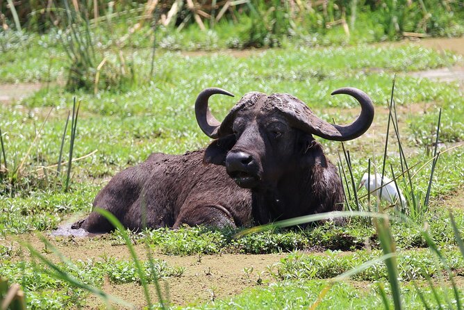 1 Day: Arusha National Park - Overview of the Tour