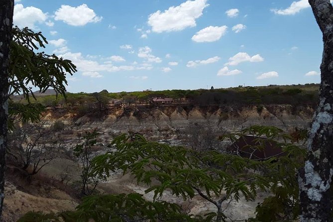 1-Day Isimila Stone Age Site - Tour Overview