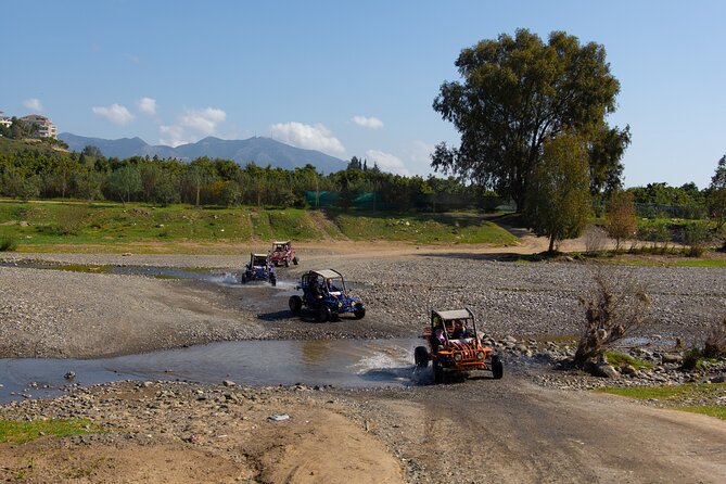 1 Hour Buggy Safari Experience in the Mountains of Mijas With Guide - Good To Know