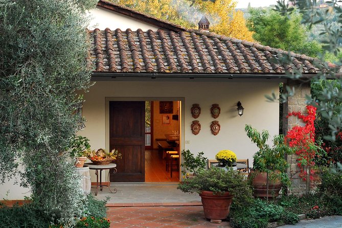 1 Hour Wine Tasting Experience in the Hills of Florence - Key Points