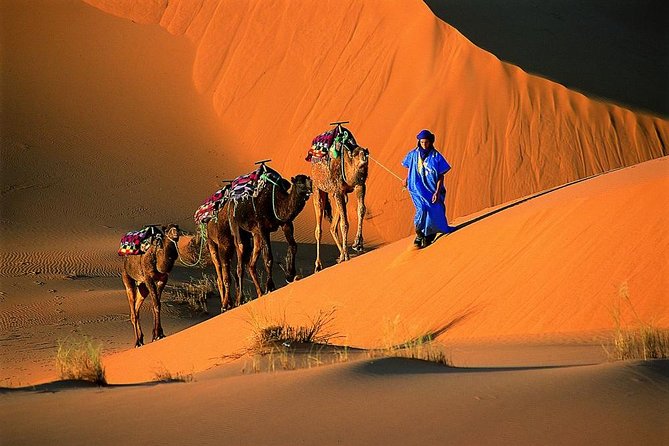 1 Night Camel Trek Bivouac From Merzouga - Good To Know
