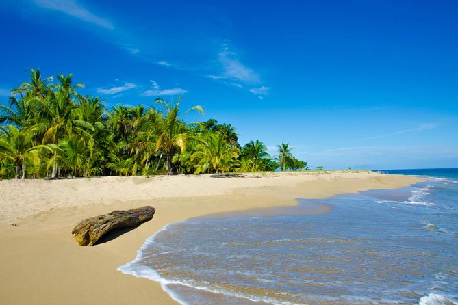 10 Days Caribbean to Pacific From San Jose - About Your Stay