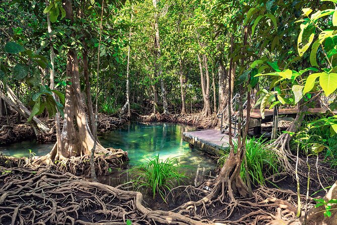 10-Hour Guided Tour of Samana and Bacardi Island Los Haitises - Good To Know