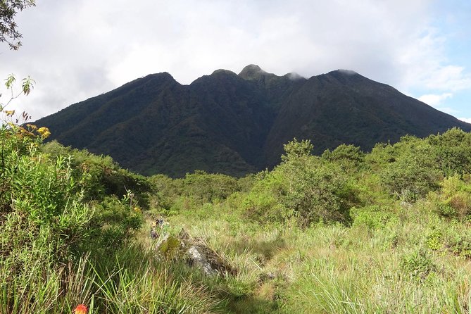 10DAYS Uganda Mountain Gorillas, Volcanoes and Lake Bunyonyi - Discover the Source of the Nile