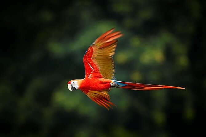13 Days Exploring Ecuador Highlands and Rainforest - Good To Know
