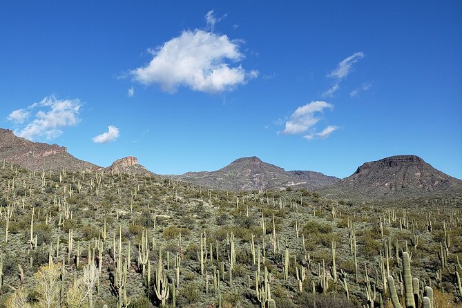 1-2 Hour Jewel of the Creek Private Guided Hiking Tour
