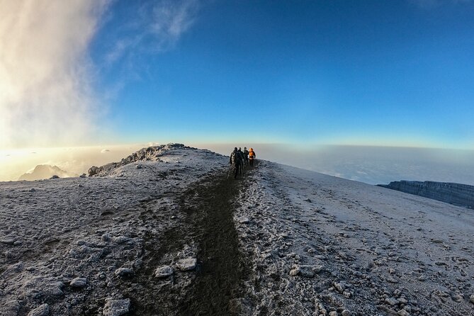1 – Day Mount Kilimanjaro Hiking/Climbing via Marangu Route From Moshi or Arusha