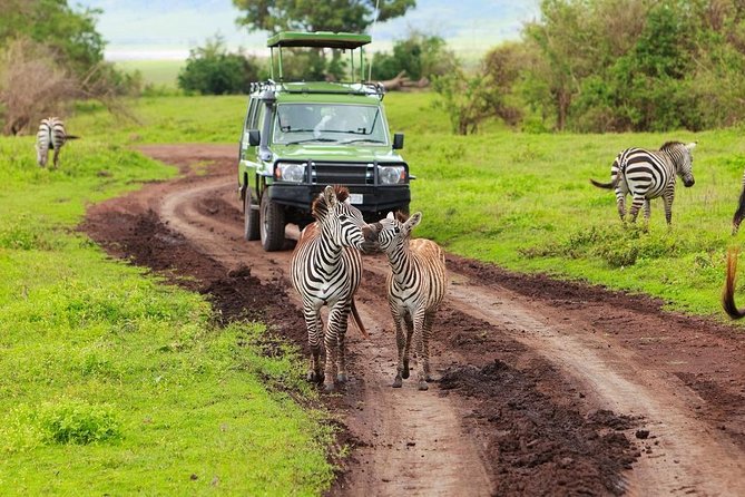 1 Day Trip to Ngorongoro Crater – Group Joining Tour