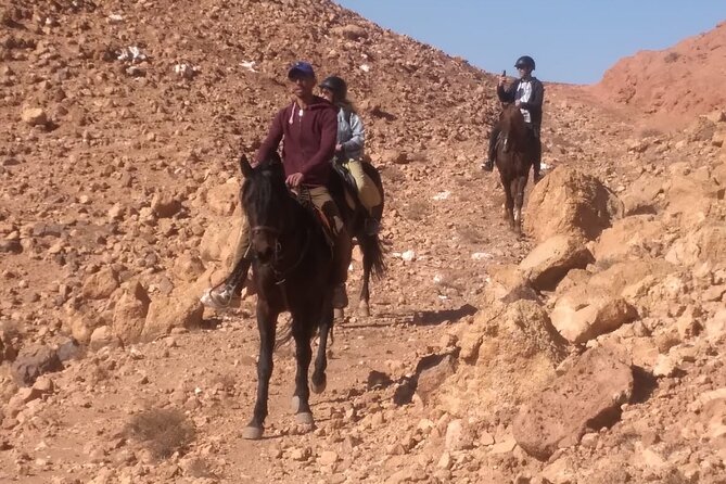 1 Hour Horse Riding Adventure in Ait Ben Haddou