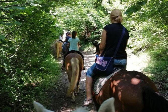 1 Hour Waterfalls Canyon Private Horse Riding in Smolyan - Meeting Point and Operating Hours