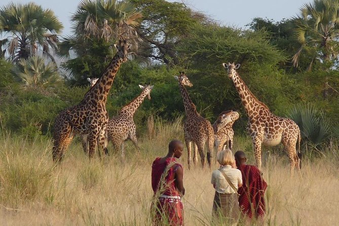 10 Days / 9 Nights Join Group Safari