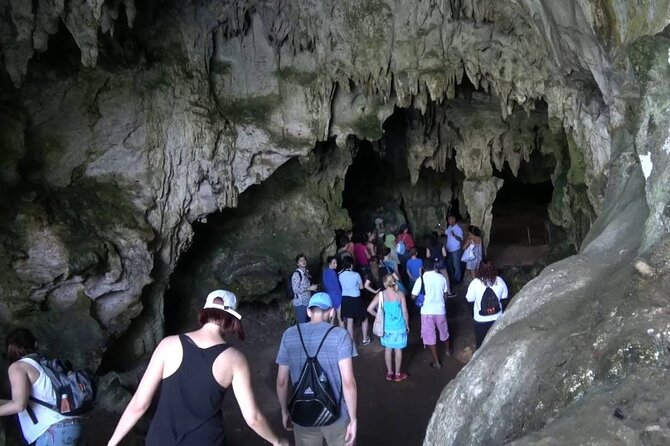 10-Hour Guided Tour of Samana and Bacardi Island Los Haitises