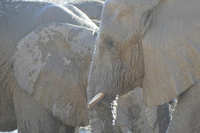 10 Namibia Adventures