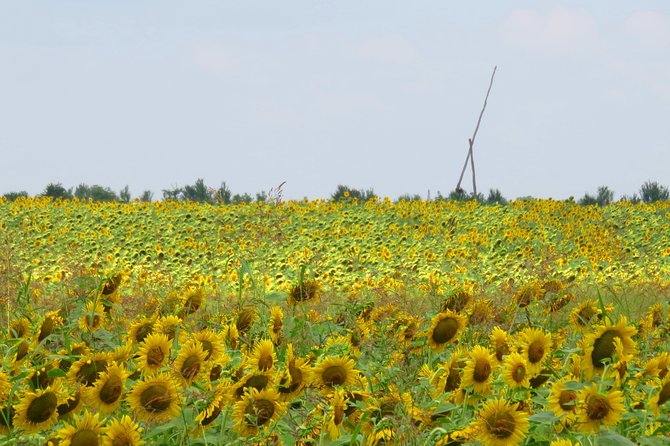 100 Km by Bike Near Bucharest - Overview of the Route