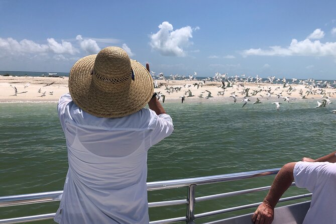 10,000 Islands Boat Excursion – 3.5-Hour Dolphins & Shelling Tour