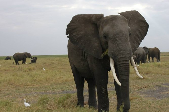 11Day WILDERNESS TRAIL:Okavango,Moremi&Chobe -WildCamping Safari +Victoria Falls