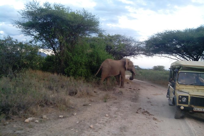 12-DAY Kenya and Tanzania Budget Private Safari From Nairobi
