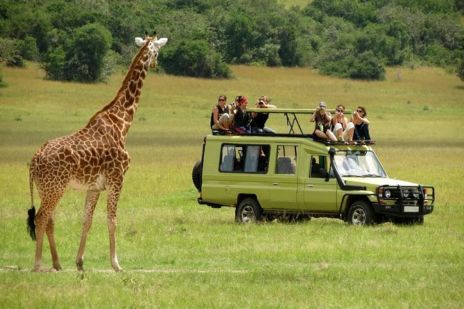 12-Days Best Of Kenya Big Five Wildlife Private Safari - Exploring Nairobis Wildlife Wonders