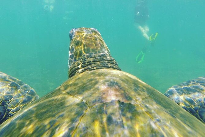 12 Days Exploring Galapagos Santa Cruz- Isabela – San Cristobal