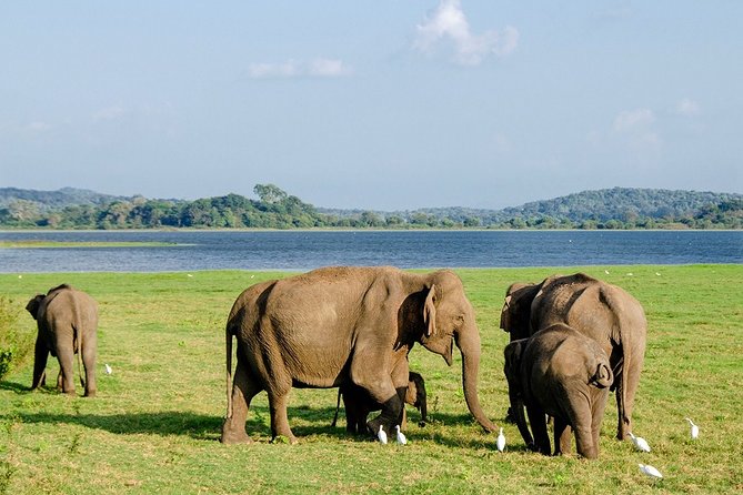 14-Nights/15-Days Sri Lanka Round Tour by Car – With Nilaveli Beach