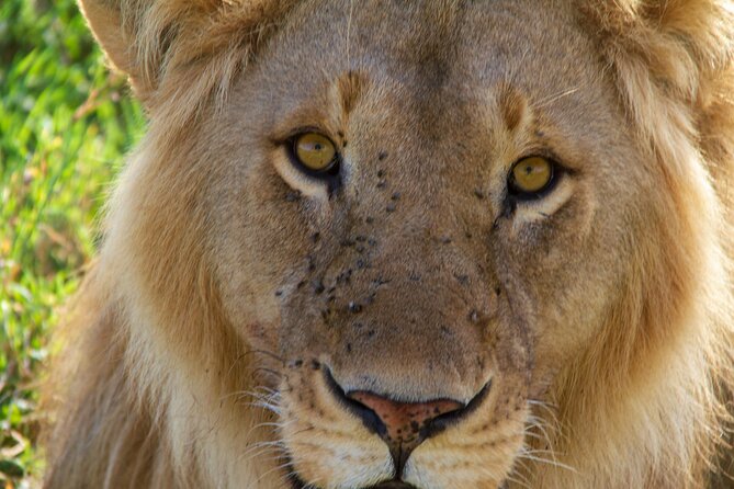 2-Day Private Guided Tour to Tarangire and Ngorongoro - Overview of the Tour
