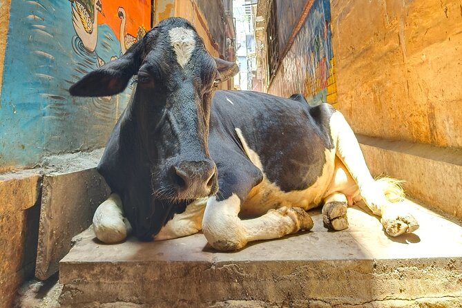 2 Day Private Mystical Varanasi Tour
