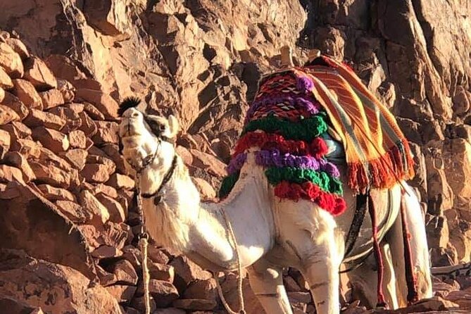 2-Day St Catherine and Moses Mountain Tour From Cairo