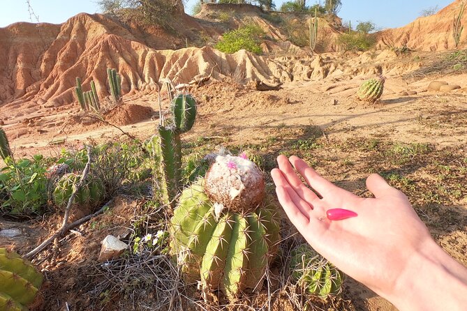 2-Day Tour in the Tatacoa Desert Local Experience