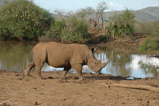 2 Days / 1 Night Join Group Safari - Tour Overview