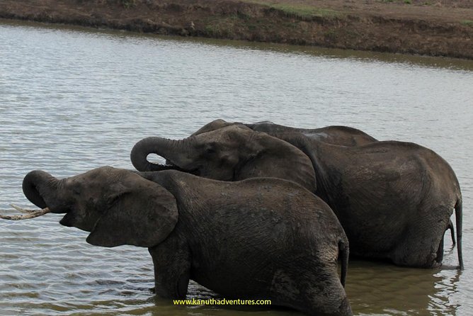 2 Days /1 Night Safari to Mikumi