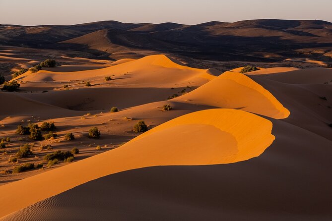 2 Days/1 Night Sahara Desert Trip: Fes - Merzouga - Marrakech - Trip Overview