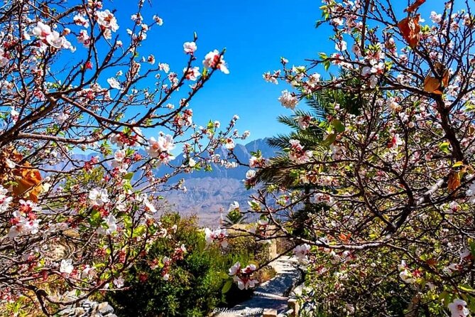 2 Days 1 Nights Private Trip to Wakan