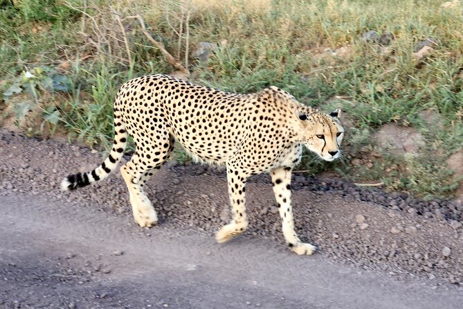 2 Days Amboseli Park Overnight Private Safari - Inclusions and Exclusions