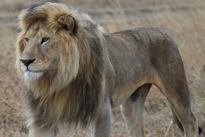 2 Days Camping Safari, Lake Manyara & Ngorongoro Crater