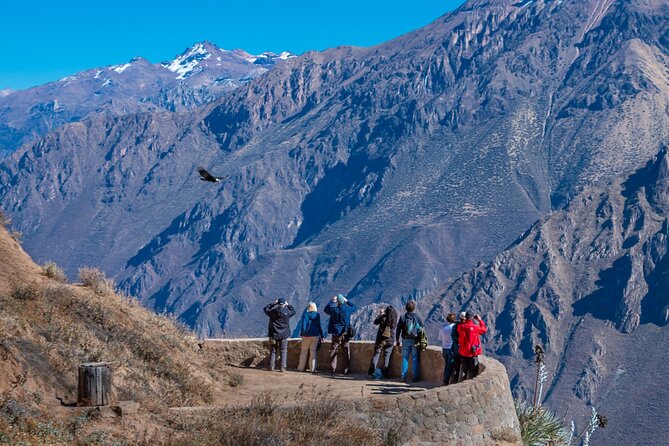 2 Days of Natural Experience in the Colca Canyon - Exploring the Colca Canyon