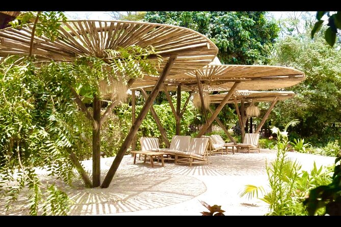 2-Days Private Midrange Safari From and to Zanzibar