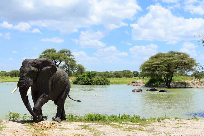 2 Days Safari Through Tarangire NP and Lake Manyara NP