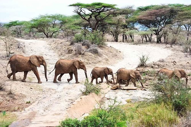 2 Days Tarangire & Ngorongoro Crater Safari Tour Tanzania
