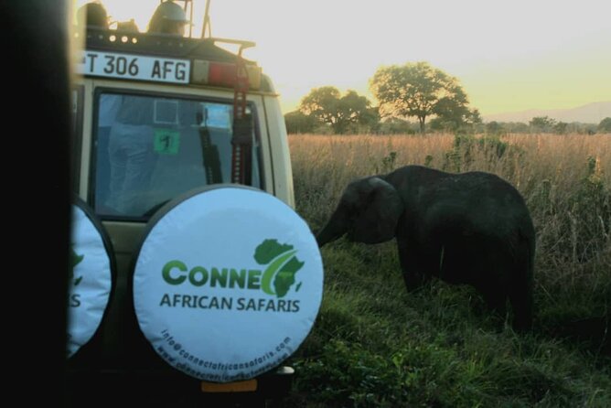 2 DAYS ZANZIBAR TO MIKUMI Flight Safari