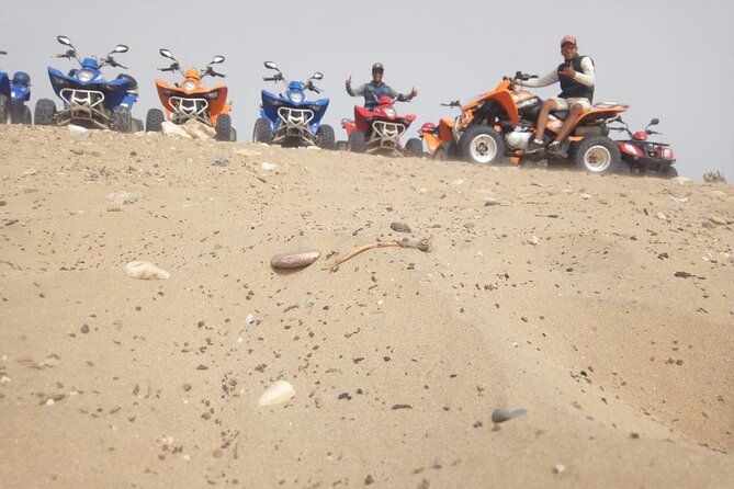 2 Hour Quad & ATV Experience