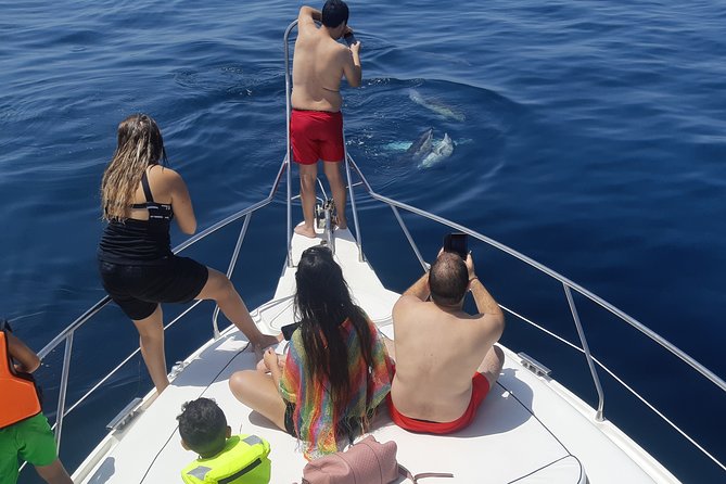 2 Hours Dolphin Watching in Marbella