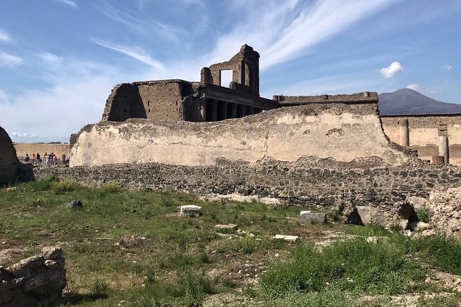 2 Hours Walking Tour in Pompeii With an Archaeologist - Tour Overview