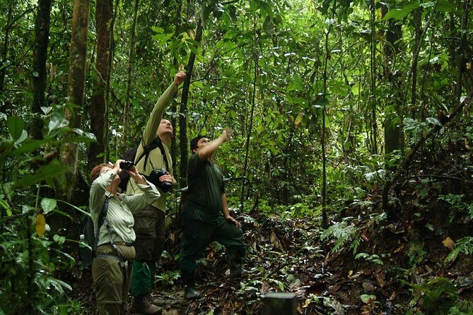 2-Night Danum Valley Borneo Rainforest Lodge Hiking and Wildlife Adventure - Adventure Overview