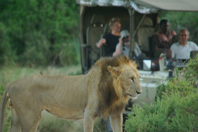 2 Nights 3 Days Masai Mara Safari Package