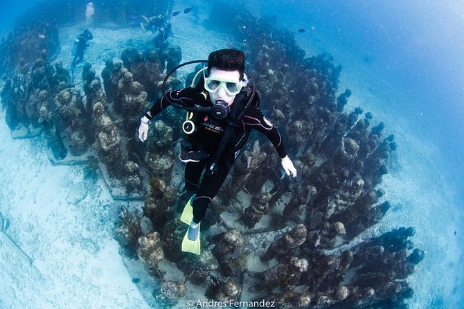 2 Tank Dives MUSA and Manchones Reef (Certified Divers) - Overview of Dive Experience