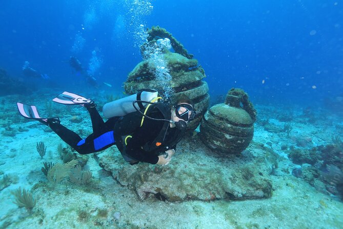 2 Tanks Dives Cancun Underwater Museum for Certified Divers - Overview of the Dive Experience