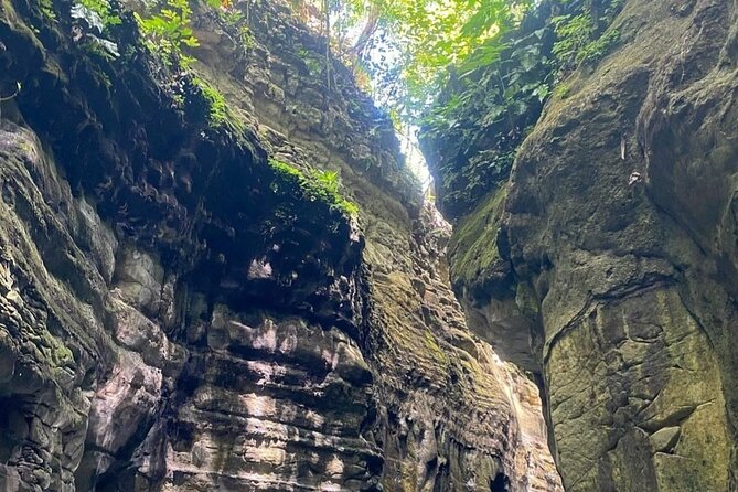 27 Waterfalls Adventure Private Tour in Charcos De Damajagua