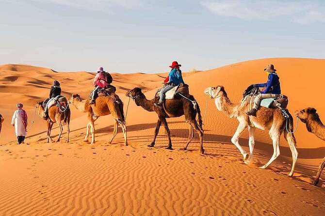 2DAYS Share Tour From Fes to Marrakech or Fes via Sahara & Camel