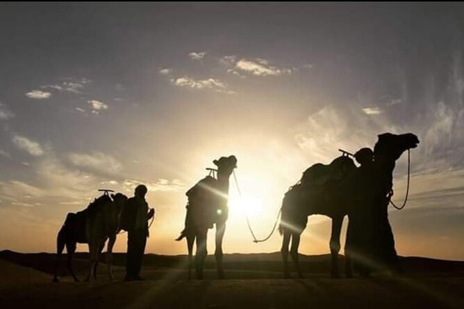 3-Day 2-Nights Desert Adventure and Berber Encounter