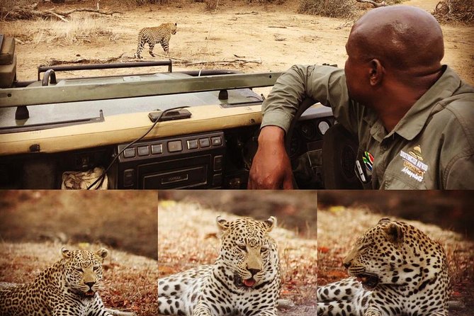 3 Day Greater Kruger National Park Adventure Safari - Itinerary and Inclusions